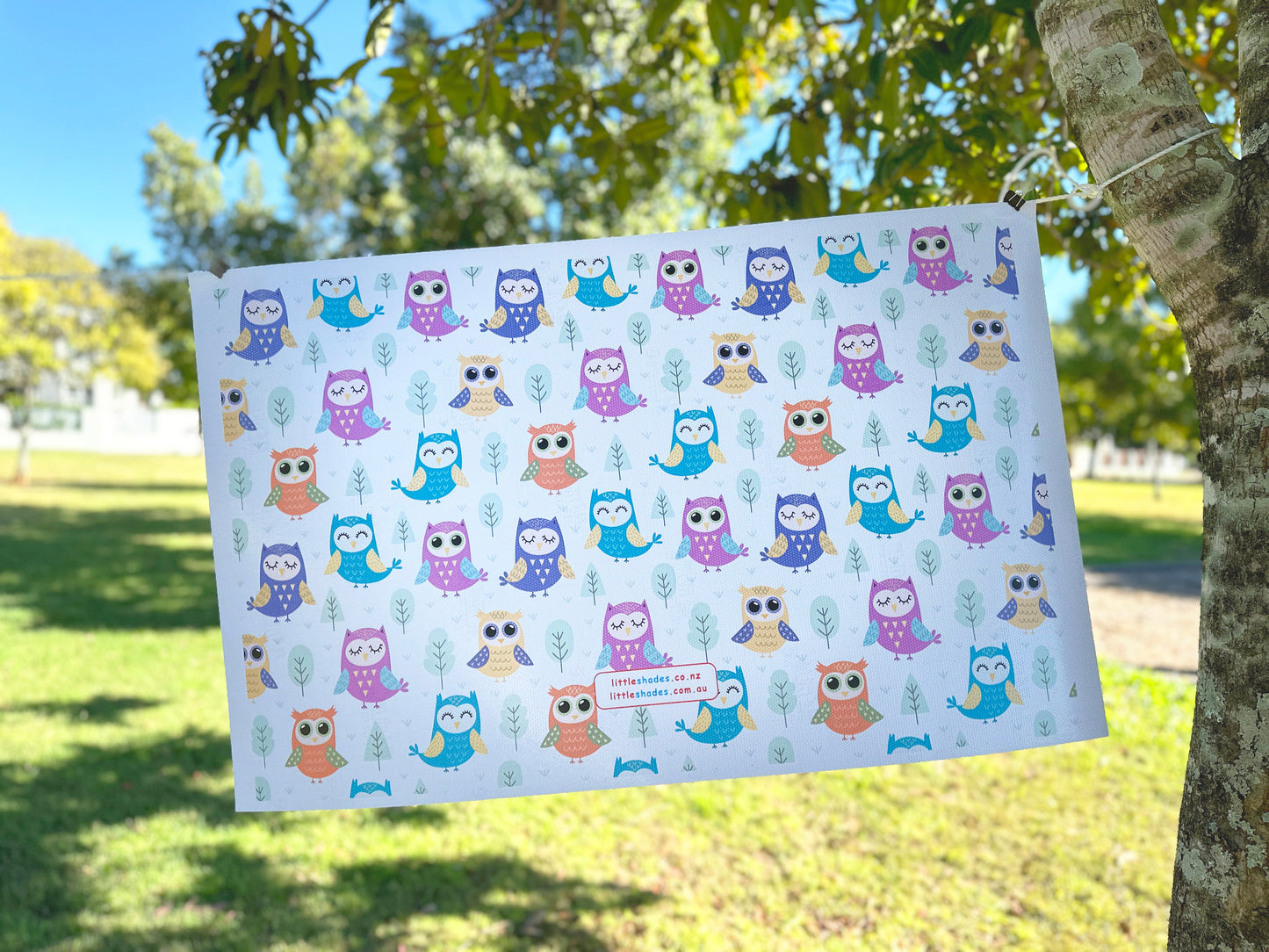 Owls of Fun Window Film