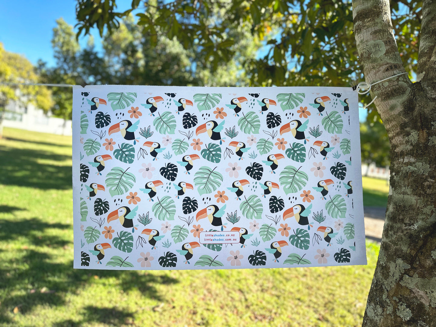 Toucan Paradise Window Film